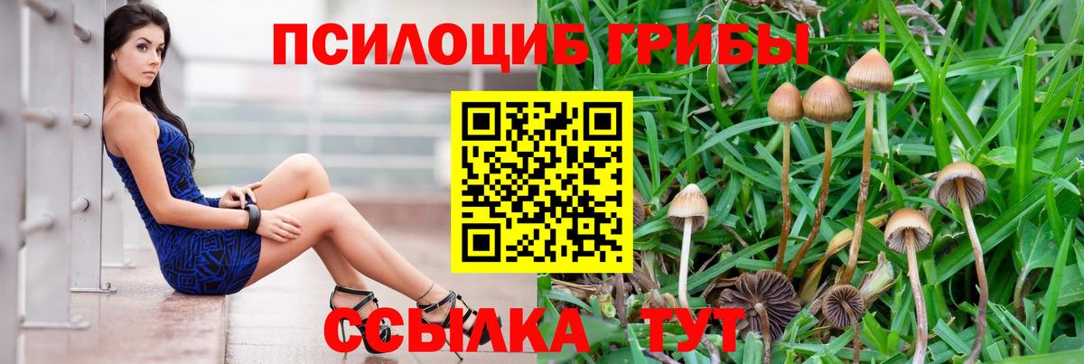 Псилоцибиновые грибы MAGIC MUSHROOMS  Вход с VPN  Богородск 